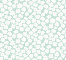 Load image into Gallery viewer, Cosmos