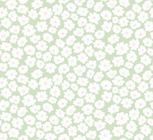 Load image into Gallery viewer, Cosmos