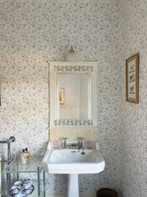 Load image into Gallery viewer, Garden Peas