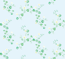 Load image into Gallery viewer, Nasturtiums