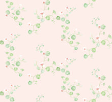 Load image into Gallery viewer, Nasturtiums