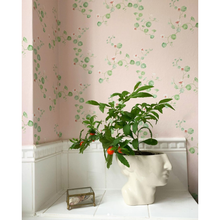 Load image into Gallery viewer, Nasturtiums