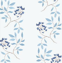 Load image into Gallery viewer, Bittersweet Nightshade