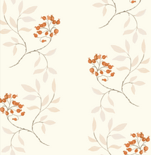 Load image into Gallery viewer, Bittersweet Nightshade