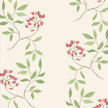 Load image into Gallery viewer, Bittersweet Nightshade