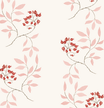 Load image into Gallery viewer, Bittersweet Nightshade