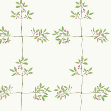 Load image into Gallery viewer, Spindle Berry Check