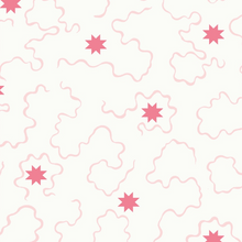 Load image into Gallery viewer, Ziggy Stars