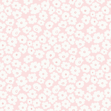 Load image into Gallery viewer, Cosmos