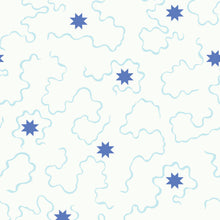 Load image into Gallery viewer, Ziggy Stars