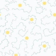 Load image into Gallery viewer, Ziggy Stars