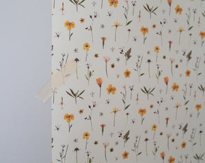 Meadow Flowers